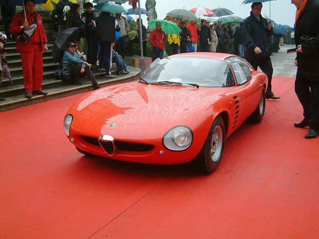2005611151843_AR_Canguro.jpg