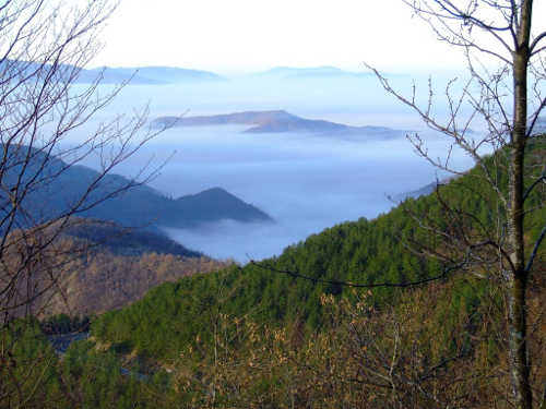 Passo del Muraglione