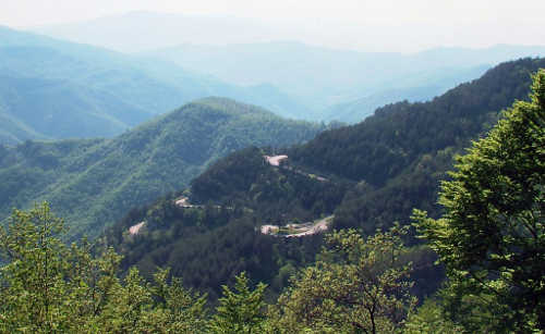 Passo del Muraglione